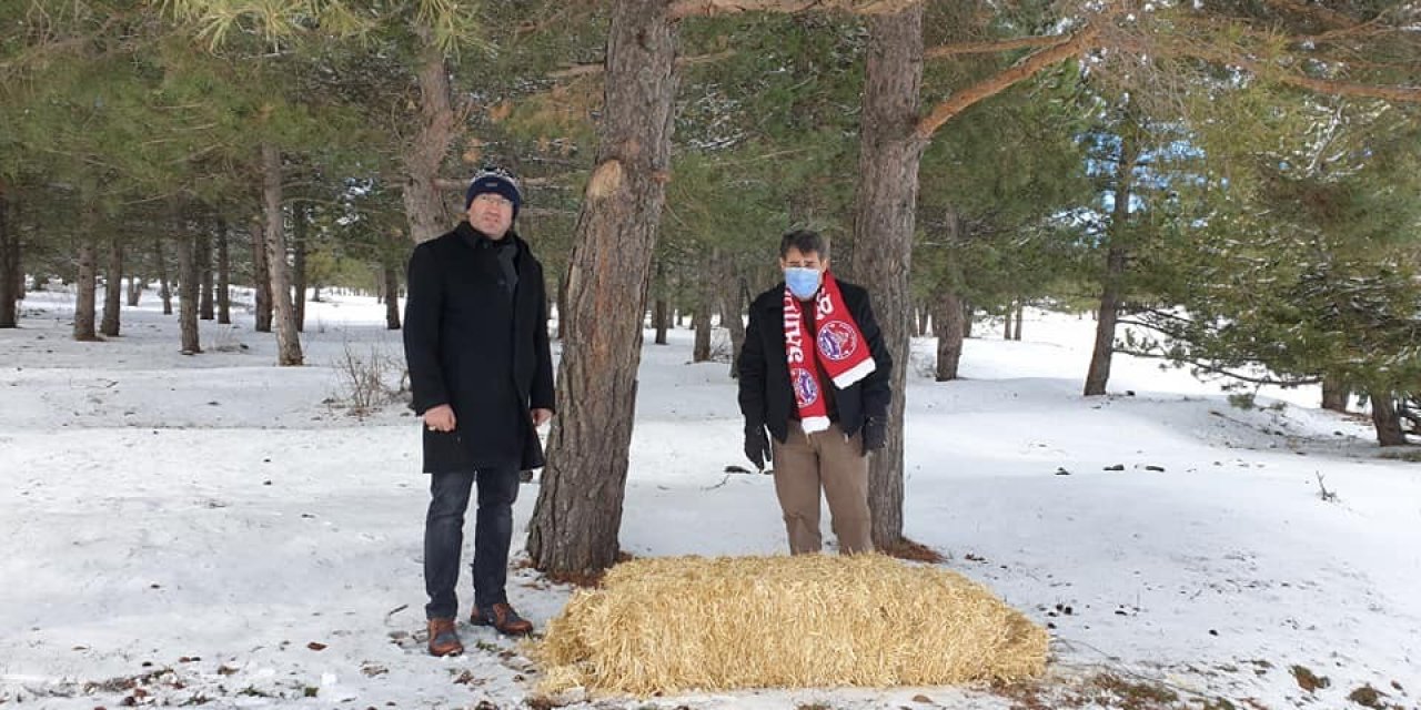Kış Şartlarının Ağırlaştığı Akdağ’da Yaban Hayatı Unutulmadı
