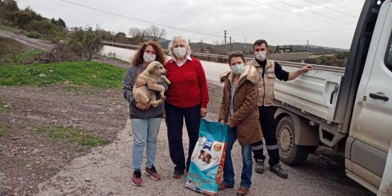 Büyükşehir, Sokak Hayvanları İçin 1,5 Ton Mama Dağıttı