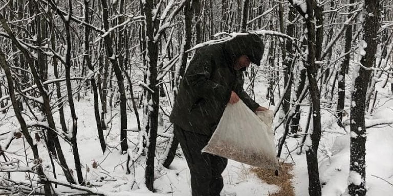 Karlı Günlerde Yaban Hayvanları İçin Doğaya 200 Kilogram Yem Bırakıldı