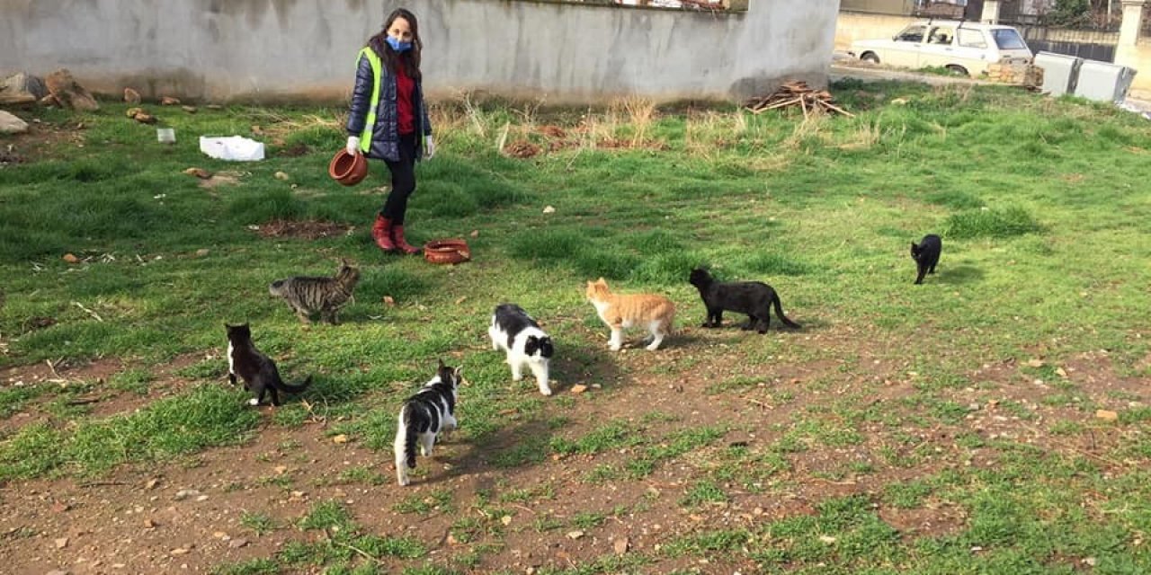Karacasu’da Sokak Canları Unutulmadı
