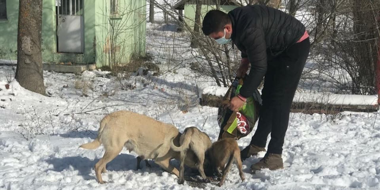 Dumlupınar Belediyesi Sokak Hayvanlarını Unutmadı