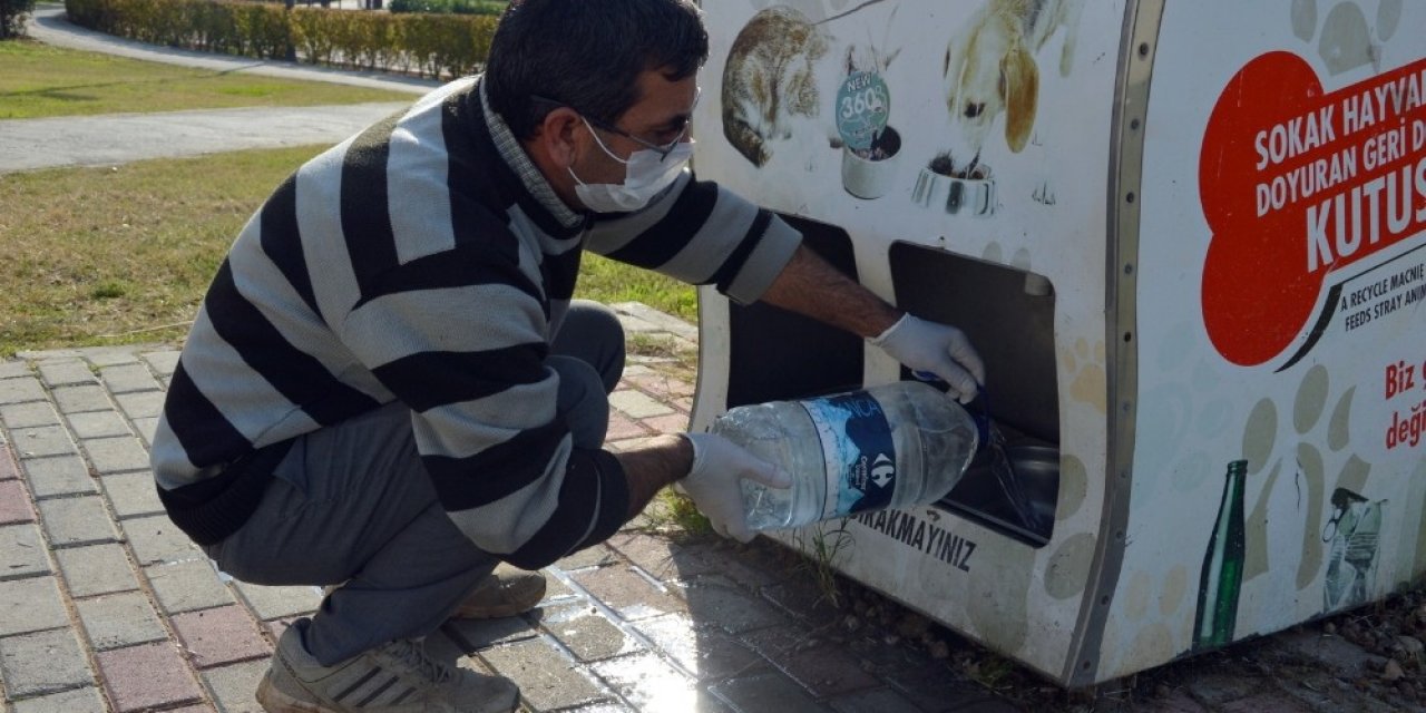Manavgat Belediyesi Sokak Hayvanlarını Unutmadı
