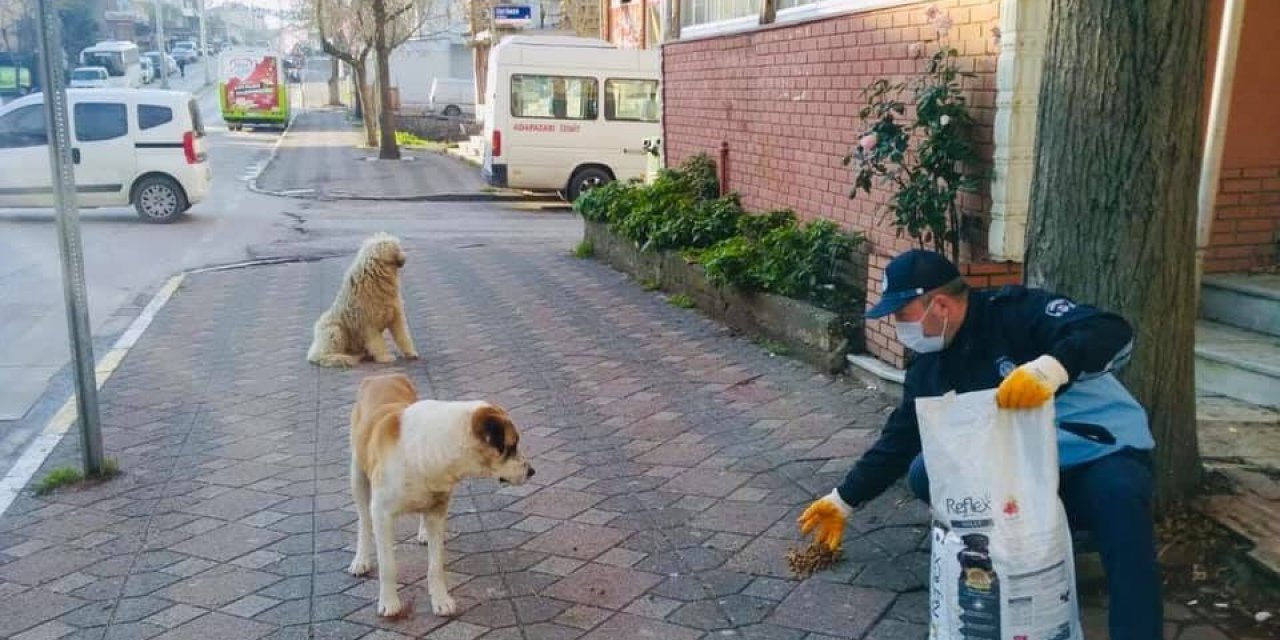 Hafta Sonu Sokak Hayvanları Unutulmadı