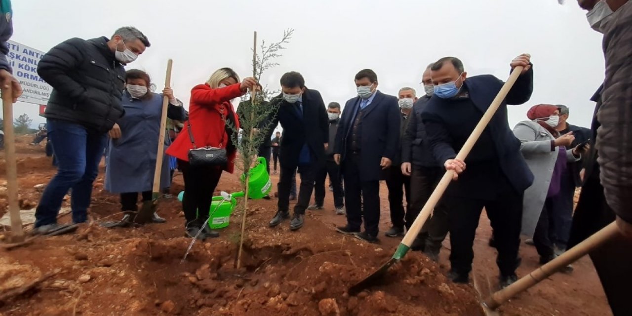 Ak Parti’den İsmail Kökçe Adına Hatıra Ormanı