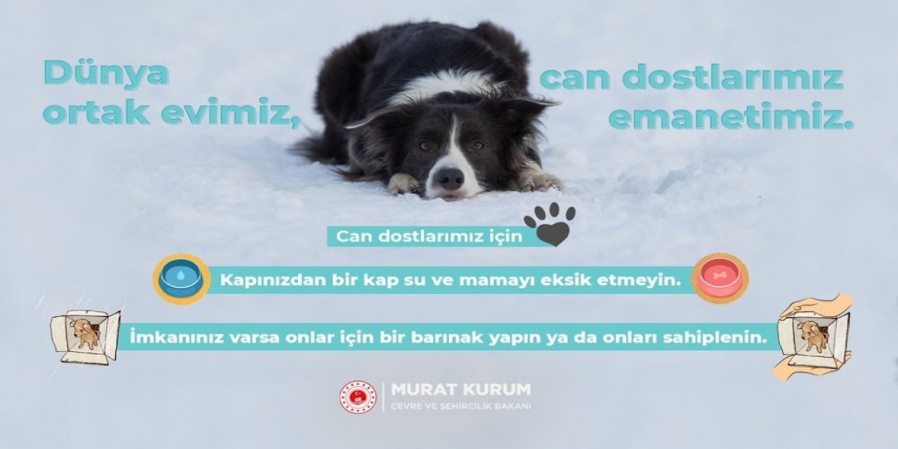 Bakan Kurum’dan "can Dostlarımız İçin" Paylaşımı