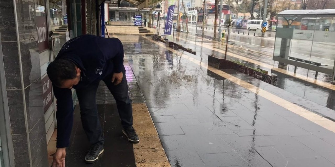 Sokak Hayvanları İçin Mama Bırakıldı