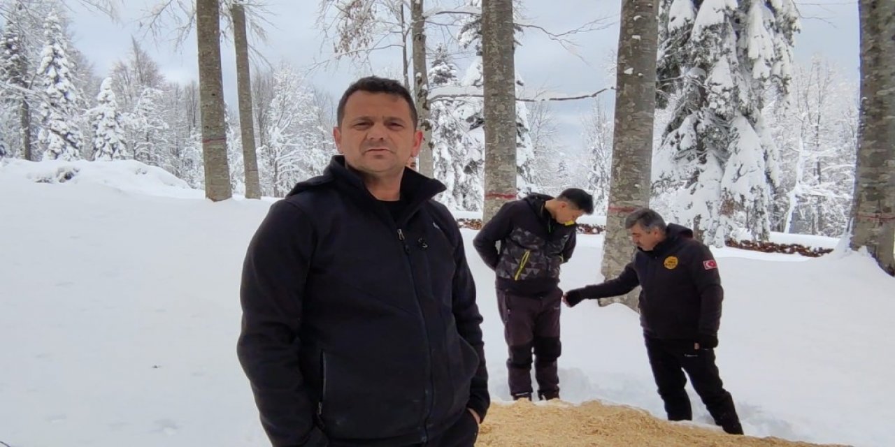Off-road Ekipleri, Yaban Hayvanları İçin Tırmandı