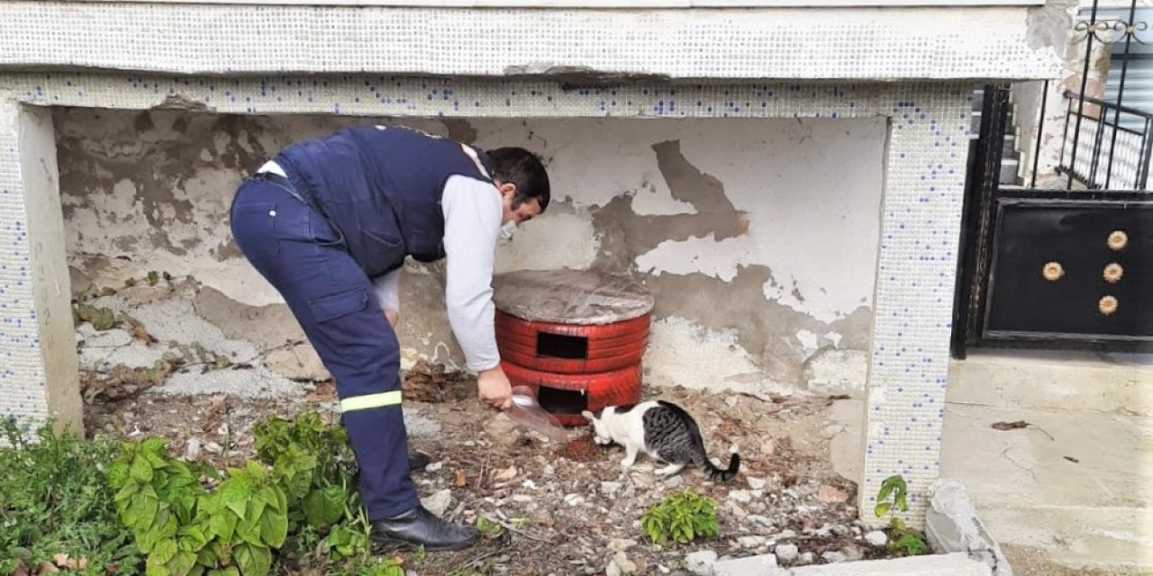 Tekirdağ Sokaklarındaki Canlar Unutulmadı