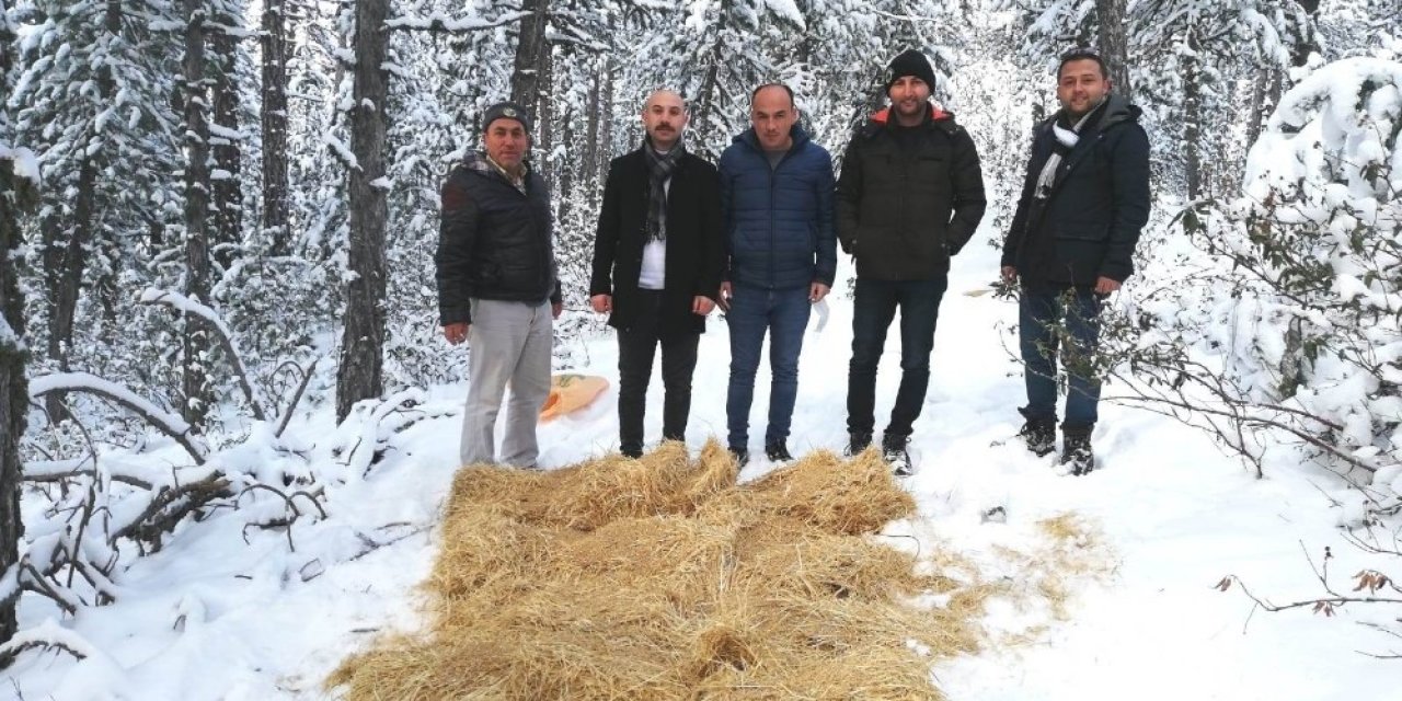 Hisarcık’ta Yaban Hayvanları Unutulmadı