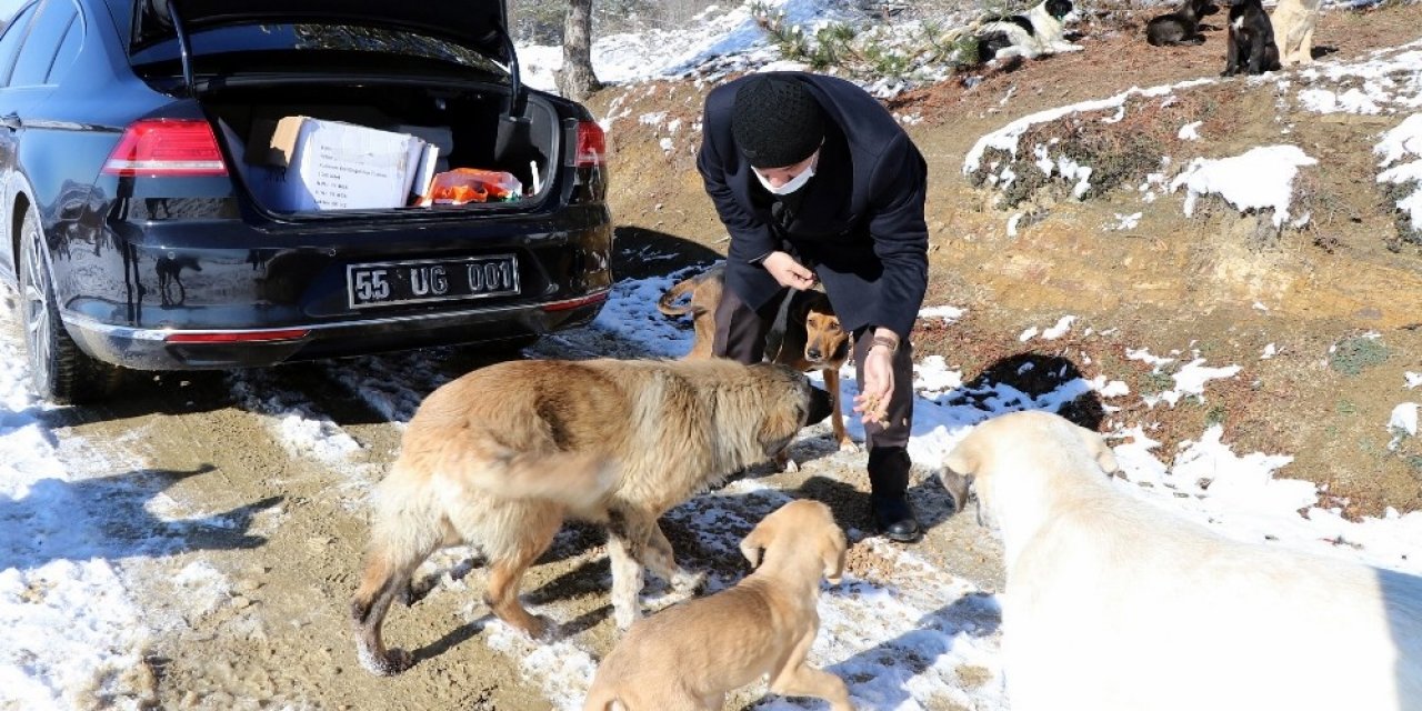 Kavak’ta Can Dostlar Unutulmadı