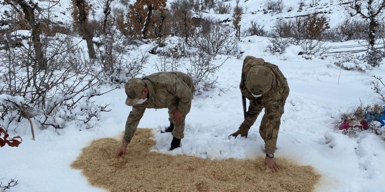 Jandarma Yaban Hayvanlarını Unutmadı