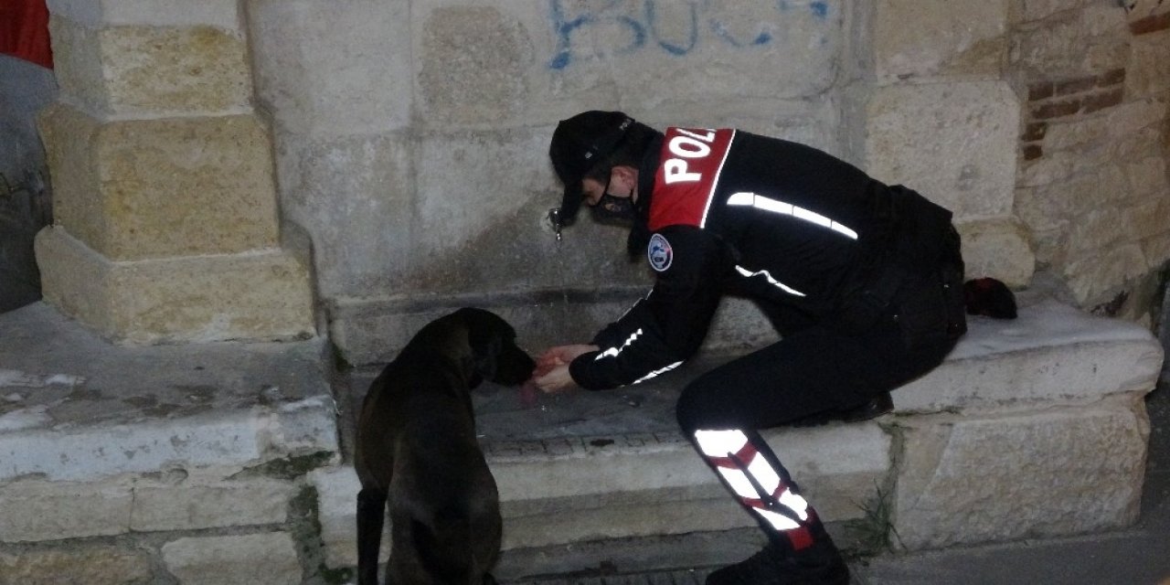 Polis Ekipleri, Eksi 10 Derecede Sokak Hayvanlarını Unutmadı