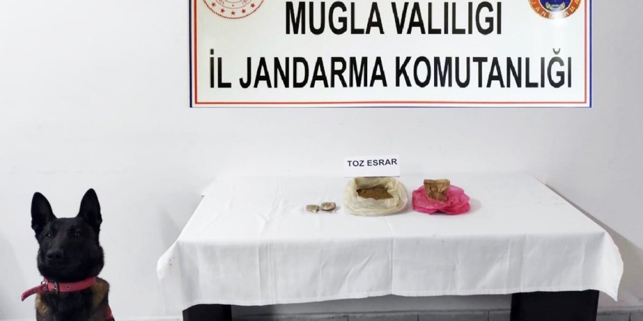 Jandarmadan Bodrum’da Uyuşturucu Operasyonu