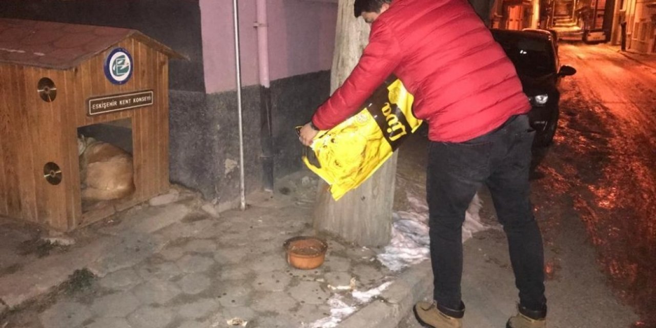 Eskişehir Gönüllüleri Platformu Üyeleri Sokak Hayvanların Yardımına Yetişti