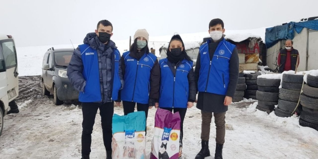 Bu İlçede Yaban Ve Sokak Hayvanlarına Yarım Ton Mama Dağıtıldı