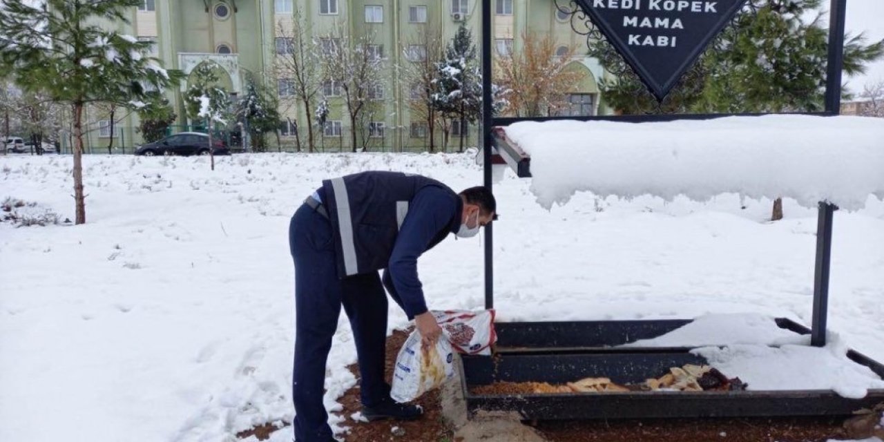 Yenişehir Belediyesinden Sokak Hayvanlarına Barınak Ve Mama Takviyesi