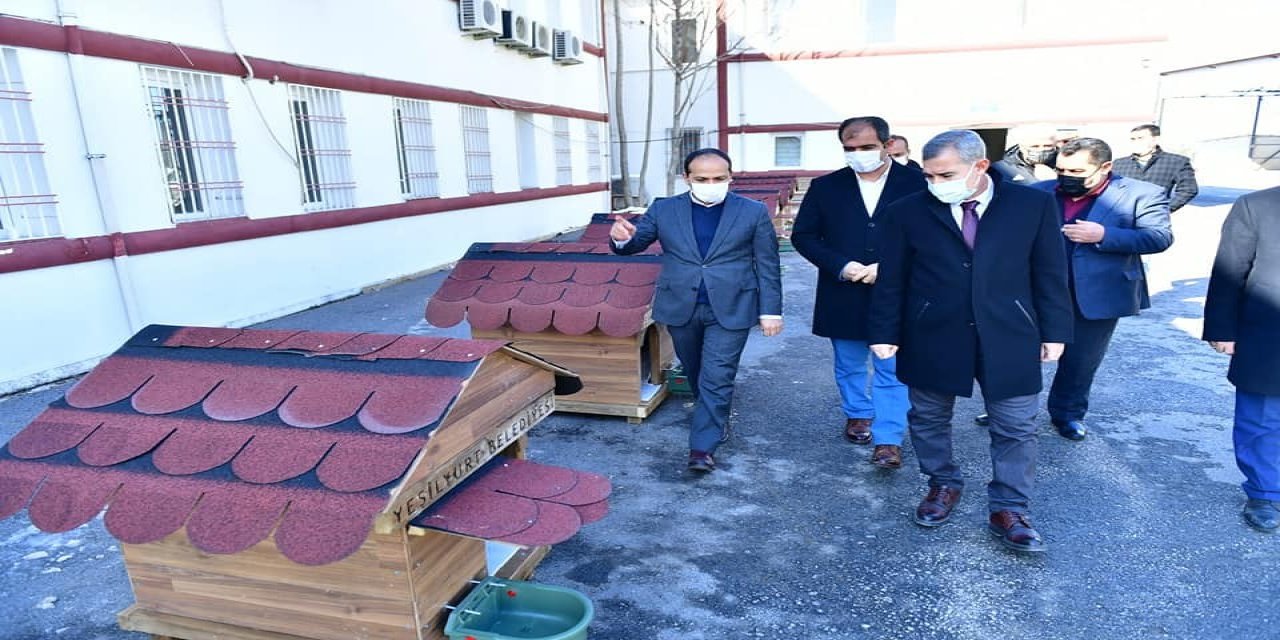 Yeşilyurt’ta Sokak Hayvanları İçin Örnek Proje