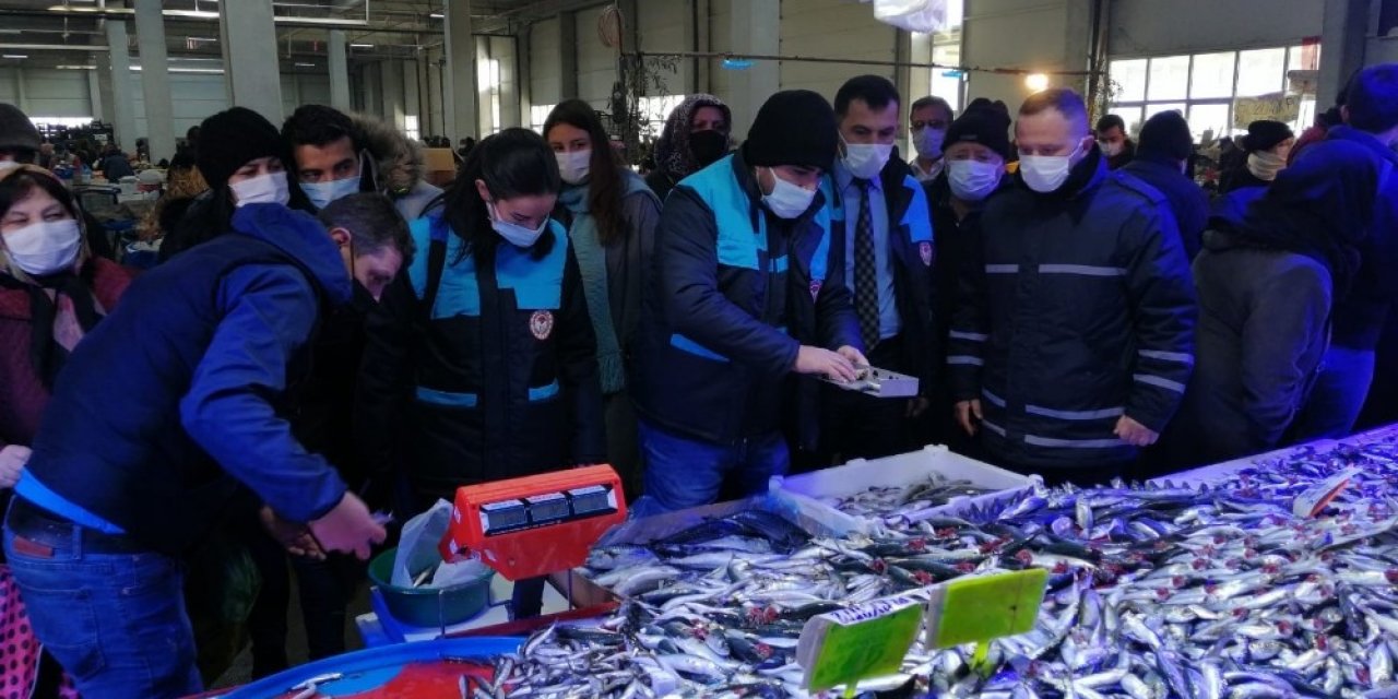 Bozüyük’te Balık Satıcılarına Yönelik Denetim Yapıldı