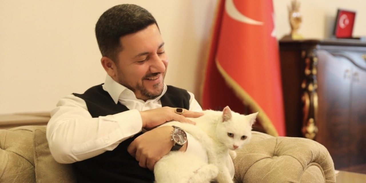 Nevşehir Belediye Başkanı Arı, Bir Ayağı Olmayan Sokak Kedisini Sahiplendi