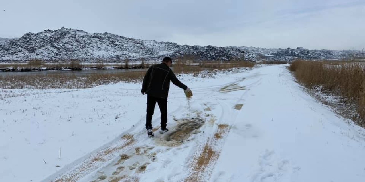 Iğdır’da Kar Yağışı Ve Aşırı Soğuktan Dolayı Yaban Hayvanları İçin Yem Bırakıldı