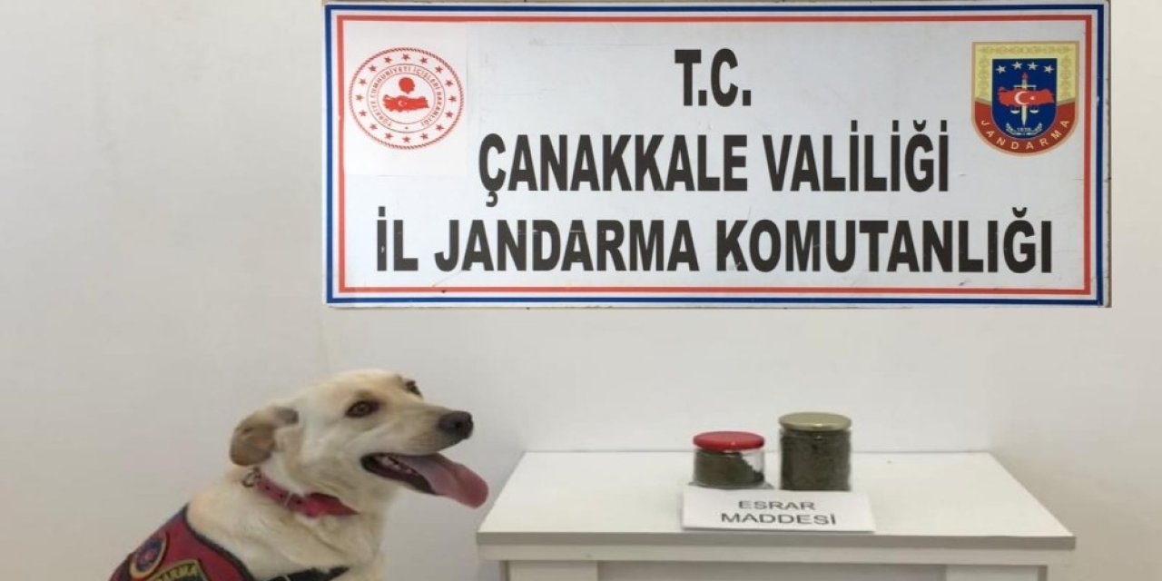 Valizinde Taşıdığı Uyuşturucuyla Yakalandı