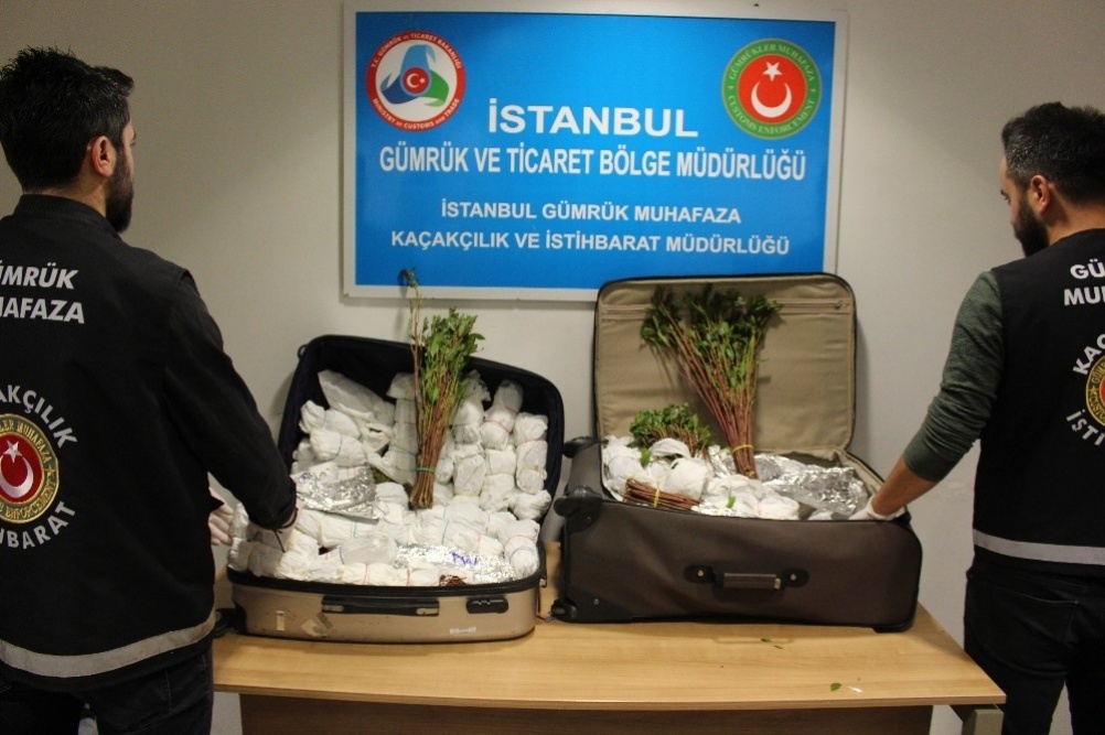 9 operasyonda yaklaşık bir ton ağırlığında Khat cinsi uyuşturucu yakalandı