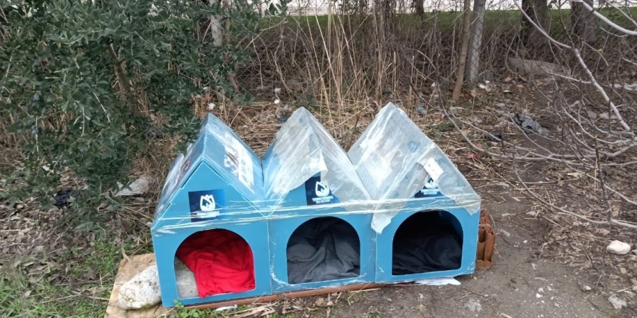 Yunusemre Belediyesi Soğuk Kış Günlerinde Sokak Hayvanlarını Unutmadı
