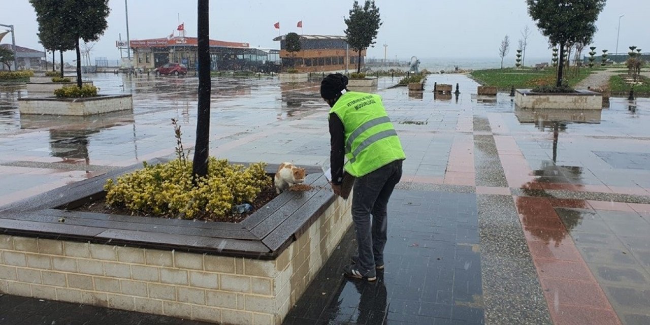 Zabıta Yaptığı Hareketle İç Isıttı