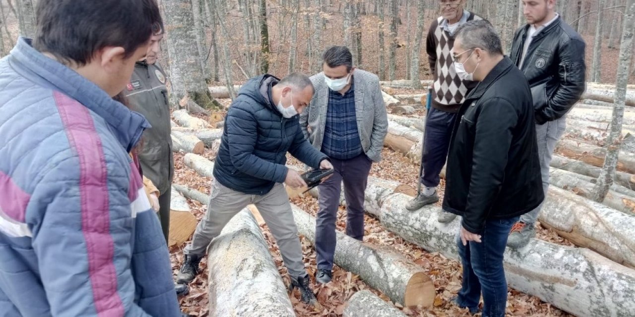 Orman İşletmesi Mustafakemalpaşa’ya Nefes Oldu