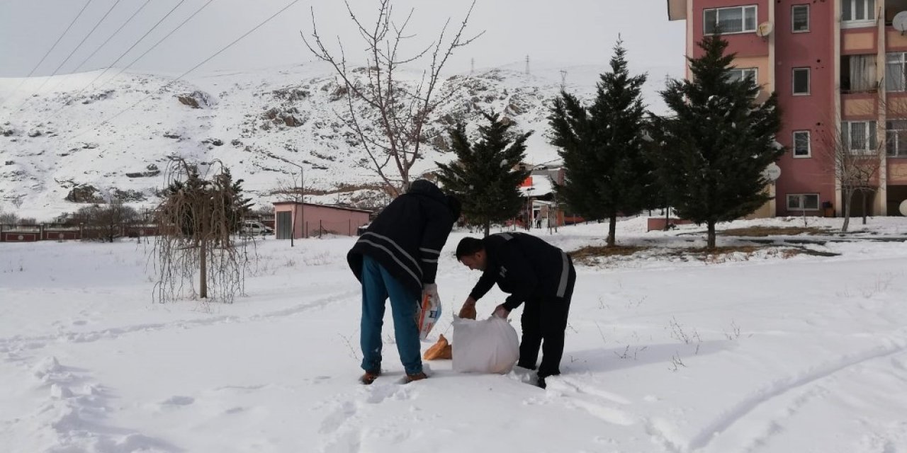 Adilcevaz Belediyesi Doğaya Yiyecek Bıraktı