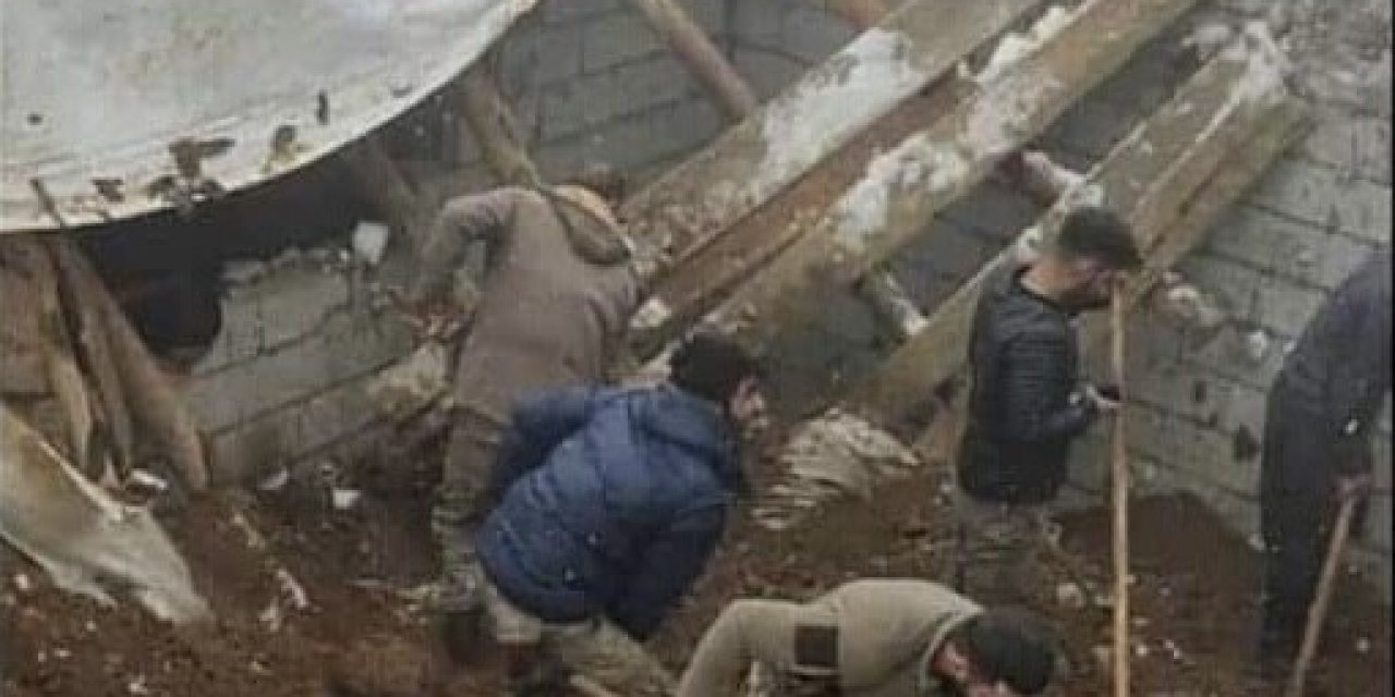 Tavanı Çöken Ahırın İçindeki Hayvanlar Telef Oldu