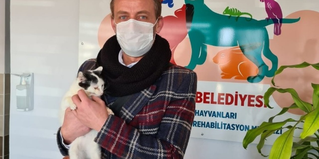 Körfez’de Tedavi Edilen Hayvanlar, Yeni Yuvalarına Kavuşuyor
