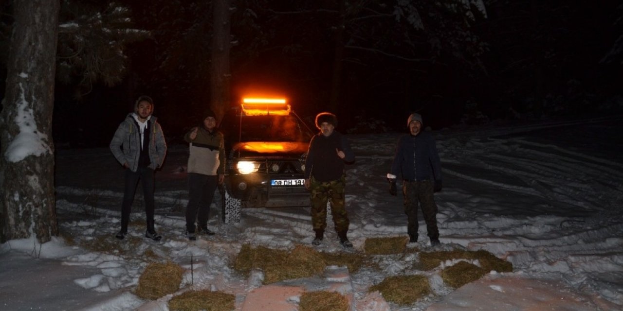 Nallıhan Off Road Ve Doğa Ekibi, Yaban Hayatına Sahip Çıktı
