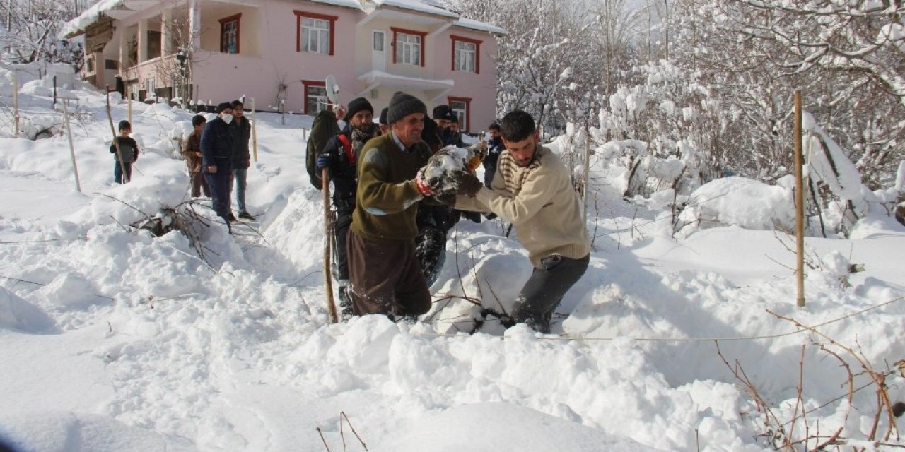 Vedaş Ekipleri Şemdinli’de Kar Mesaisinde