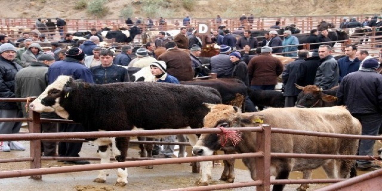 Nevşehir Hayvan Pazarı Geçici Olarak Kapatıldı
