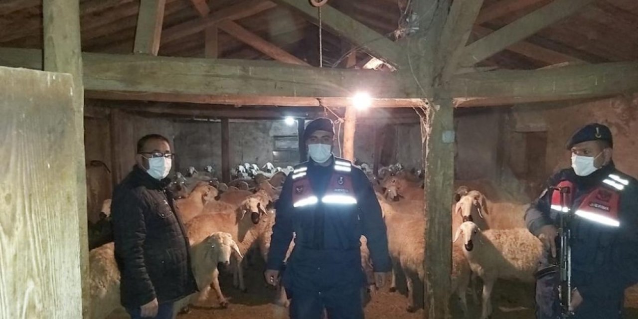 Kaybolan 90 Koyunu Jandarma Ekipleri Buldu