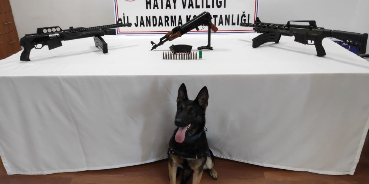 Aile Çay Bahçesine Gömülmüş Silahlar Bulundu