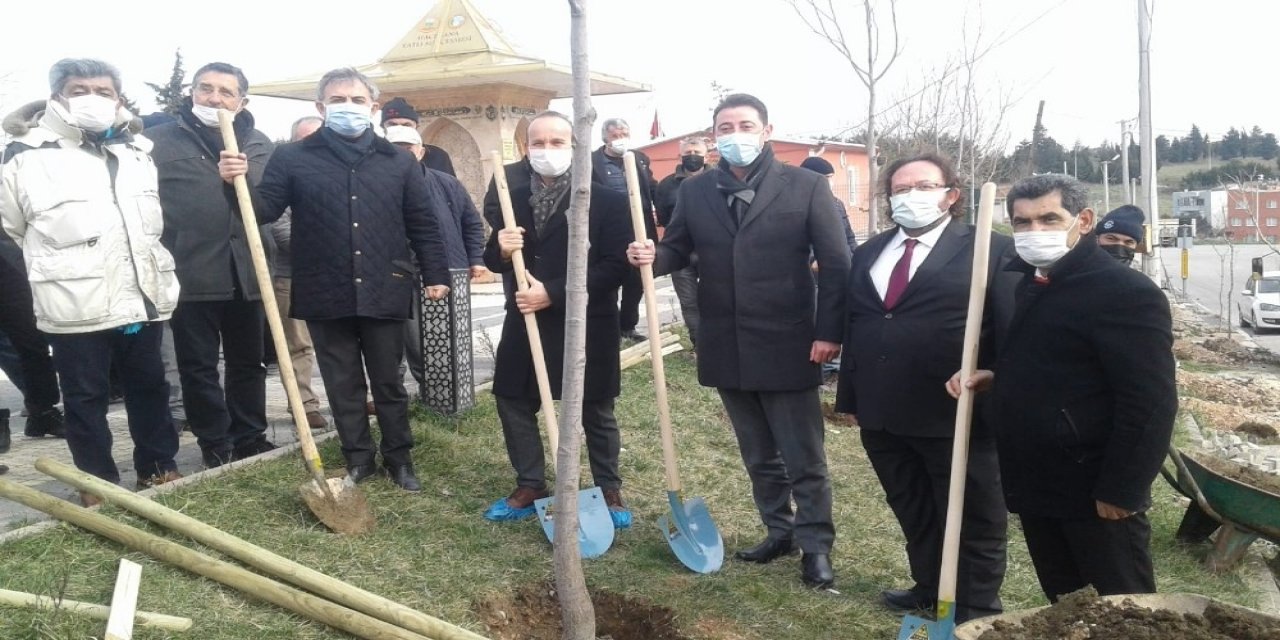 Çevreci Muhtar’dan Ağaç Dikim Etkinliği