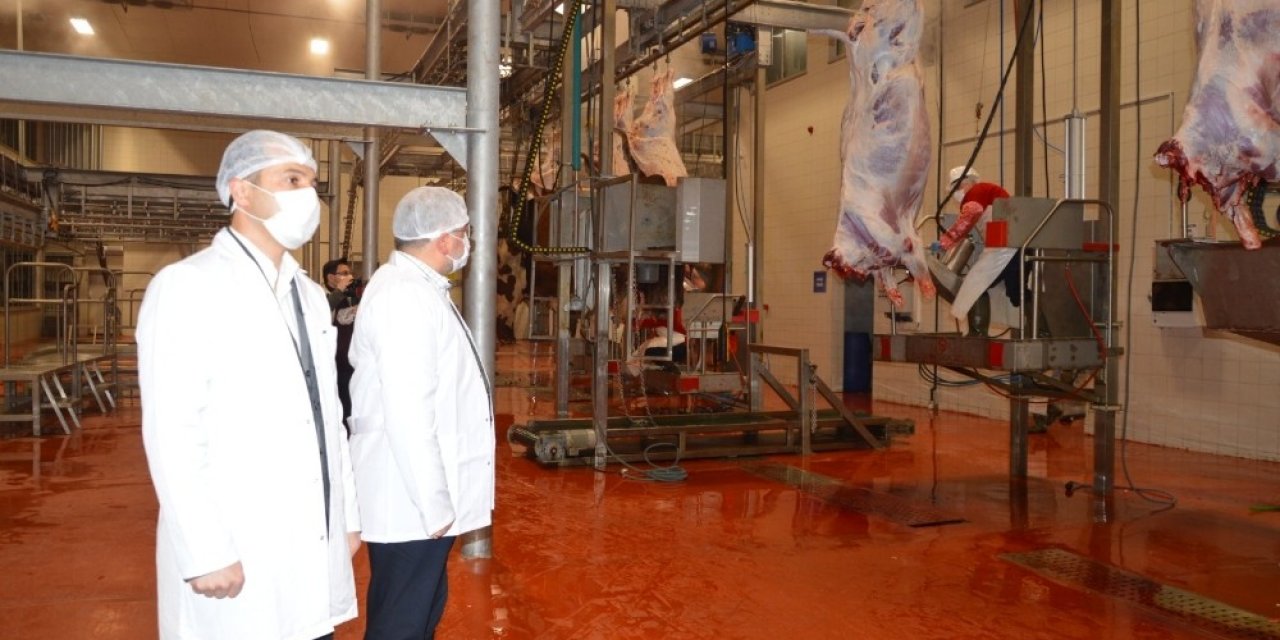 Kavurma İle Marka Olan Halk Et, Hayvansal Atıklardan Sokak Hayvanlarına Mama Üretecek