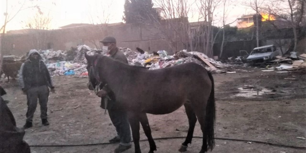 Atları Kesenlere Operasyon
