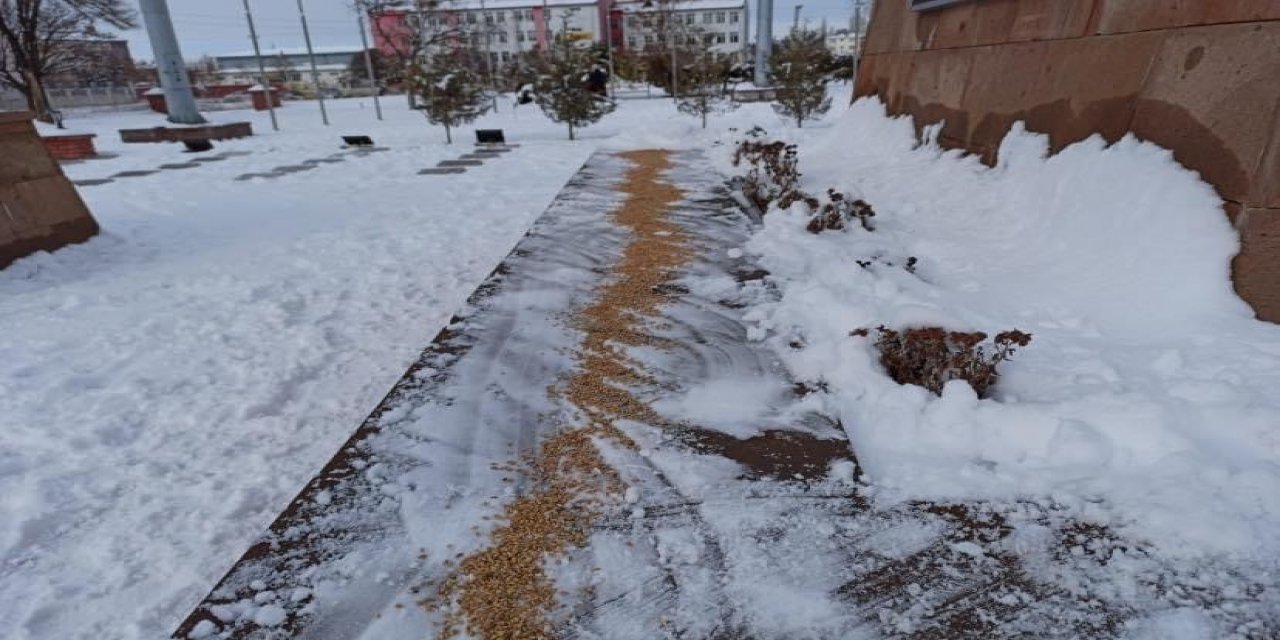 Iğdır’da Kar Yağışının Ardından Yaban Hayvanları İçin Doğaya Yem Bırakıldı
