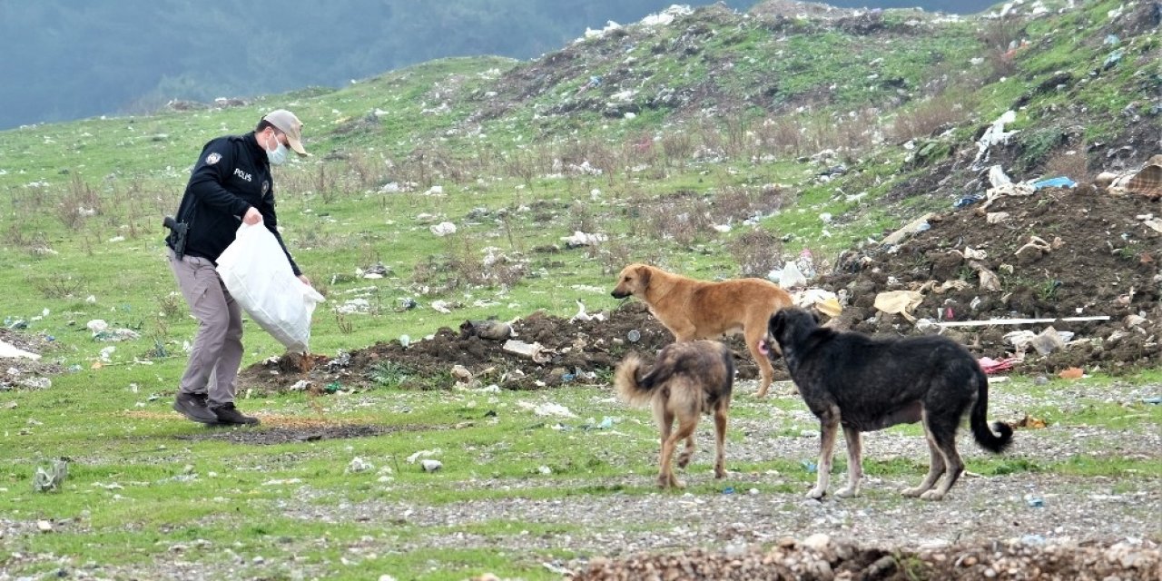 Jandarma Ve Polis Kısıtlamada Sokak Hayvanlarını Unutmadı