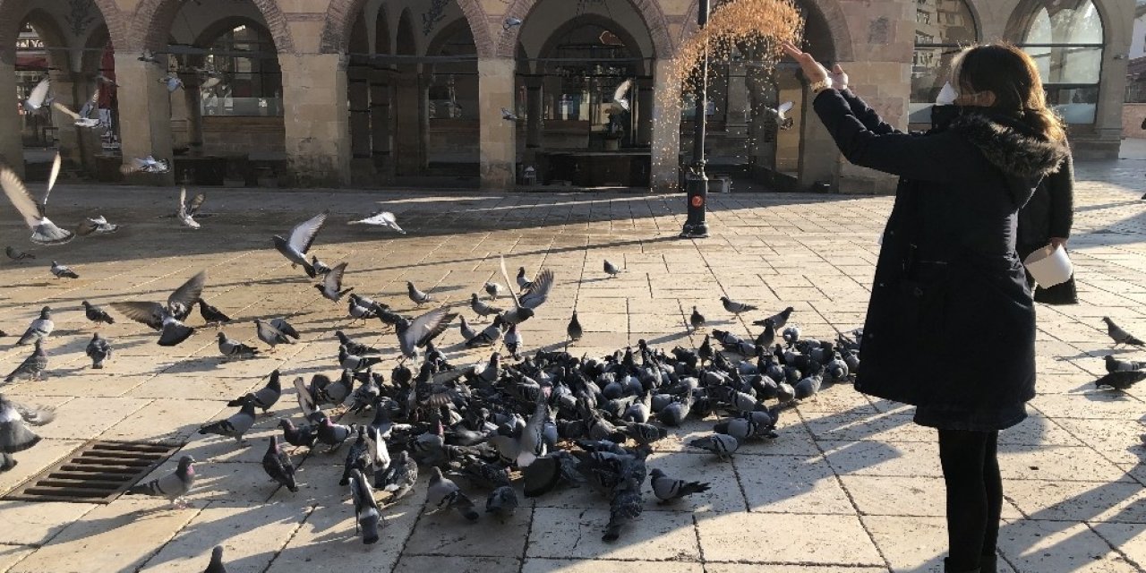 Kısıtlamada Özel İzinle Kuş Ve Sokak Hayvanlarını Beslediler
