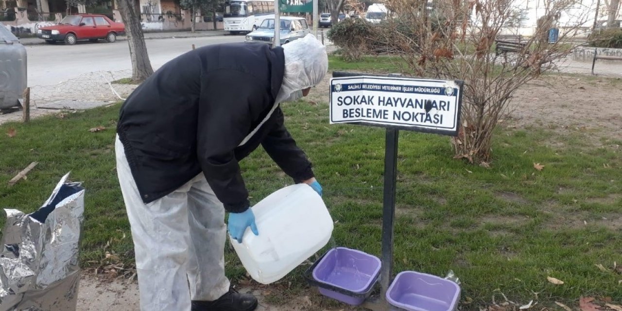 Salihli’de Sokak Hayvanlarına Mama Desteği