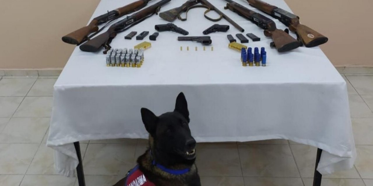 Kastamonu’da Jandarmadan Silah Kaçakçısına Operasyon