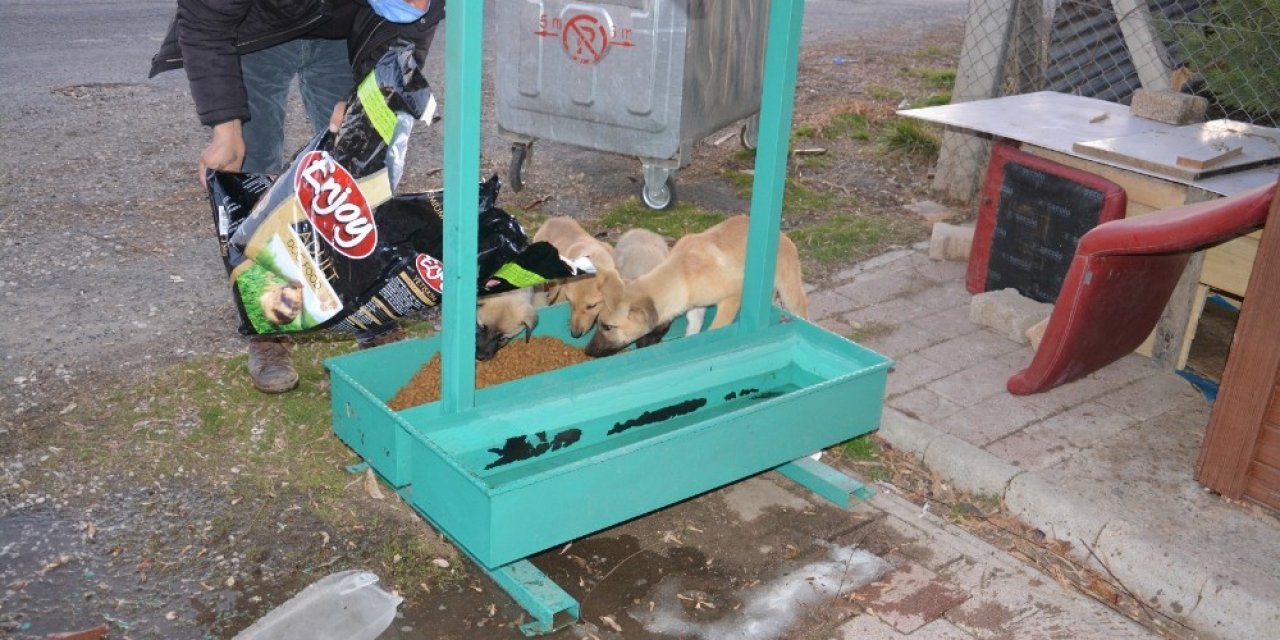 Ergani Belediyesi Sokak Hayvanlarını Unutmadı