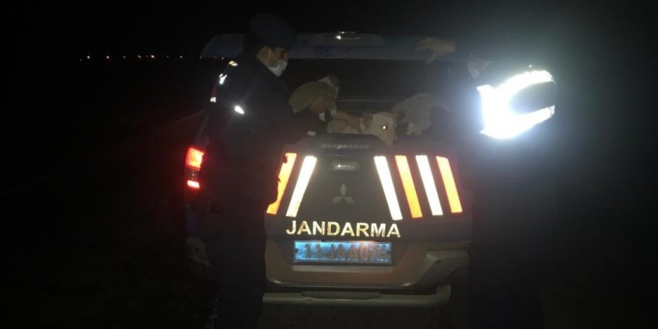 Jandarma Ekipleri Yol Kenarında Buldukları Ağzı Kapalı Çuvalın İçini Açınca Şok Oldular