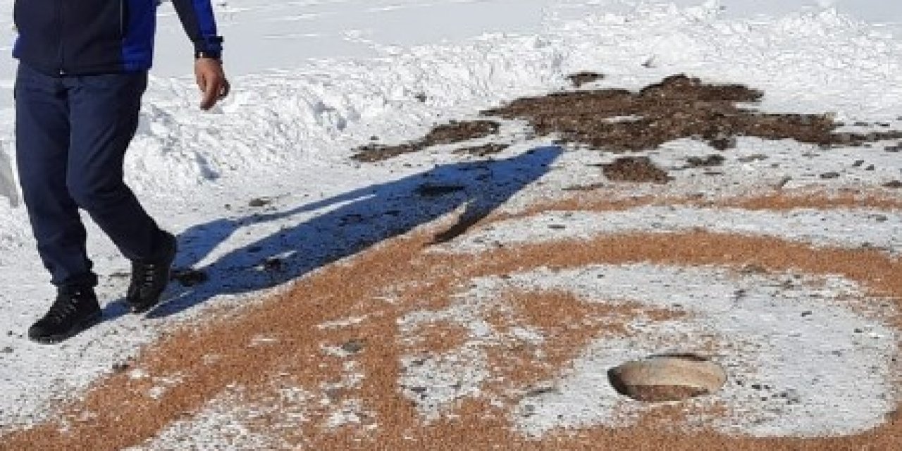 Zabıta Ekipleri Doğaya Kuşlar İçin Yem Bıraktı