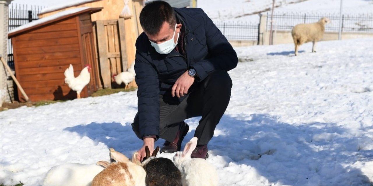Sokak Hayvanlarının Sıcak Yuvası