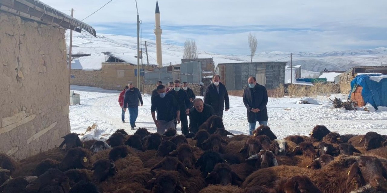 Bayburt’ta "köyümde Yaşamak İ̇çin Bir Sürü Nedenim Var Projesi" Kapsamında Çiftçilere Koyunları Teslim Edildi
